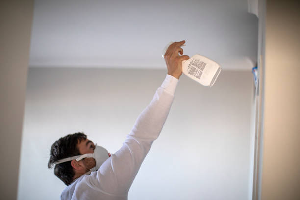 Trusted Sunnyvale, TX Mold Remediation Experts